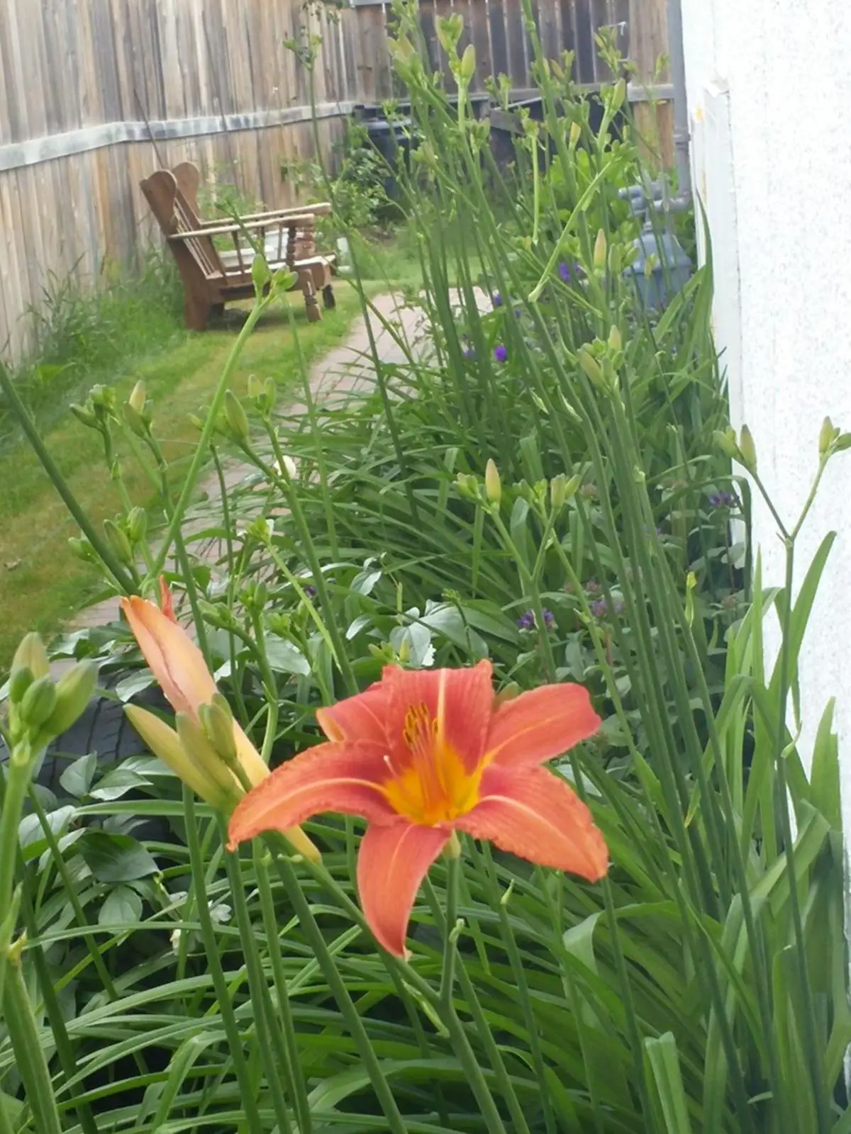 Winnipeg Homestay 7